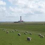 Frisian House Wallsbuell *