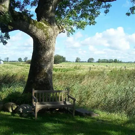 度假居 Frisian House Wallsbuell Witzwort