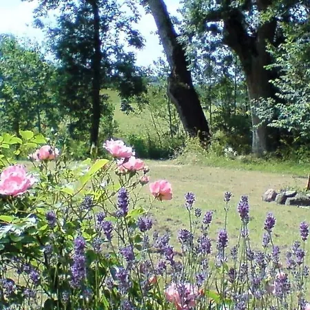 Frisian House Wallsbuell 度假居 *