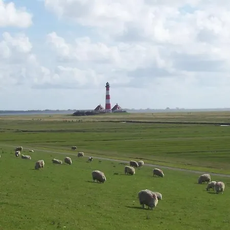 Frisian House Wallsbuell * Witzwort